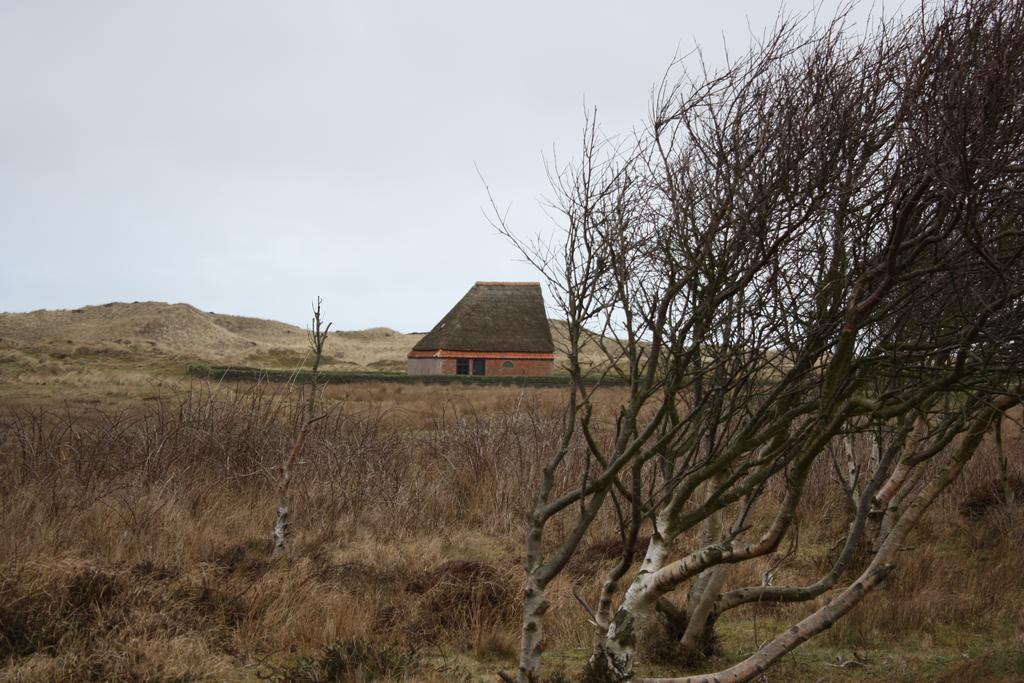 Duinhotel Texel เดอ คุก ภายนอก รูปภาพ