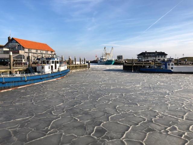 Duinhotel Texel เดอ คุก ภายนอก รูปภาพ